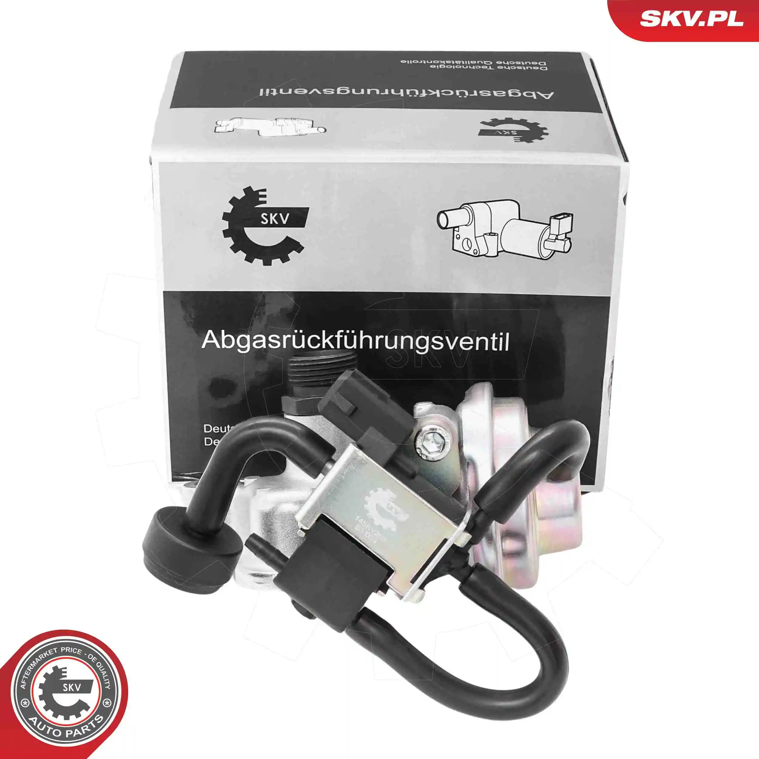 EGR Valve